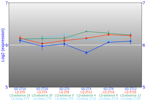 Expression graph