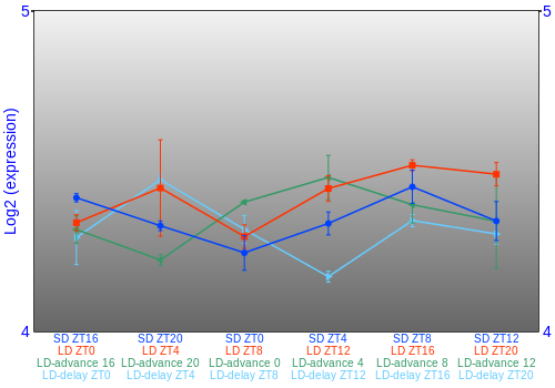 Expression graph
