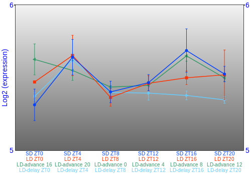 Expression graph