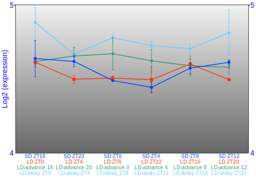 Expression graph