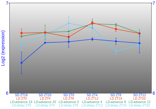 Expression graph