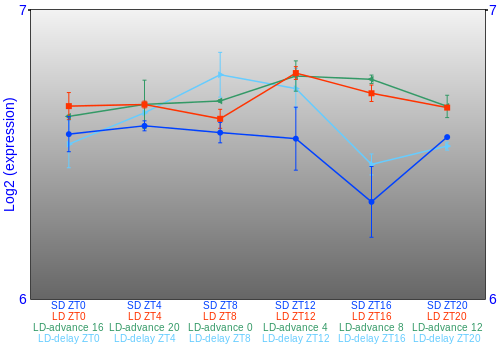 Expression graph