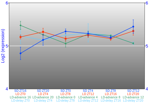 Expression graph