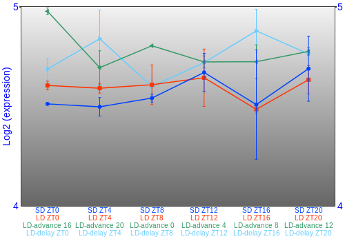 Expression graph