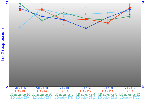 Expression graph