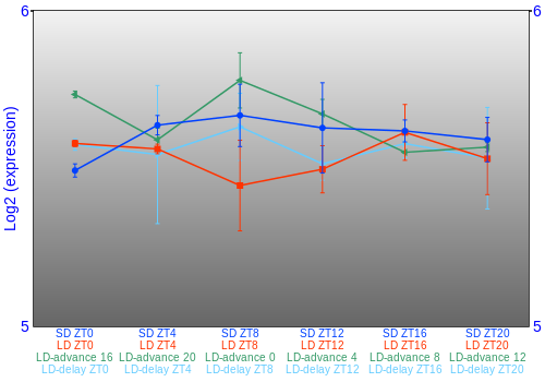 Expression graph