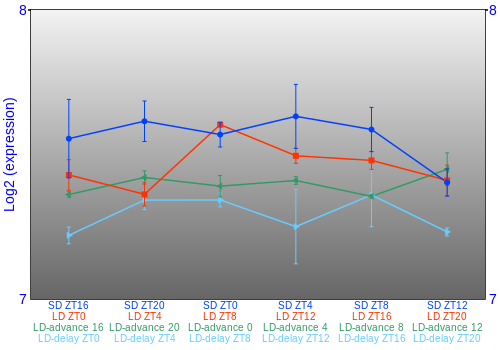 Expression graph