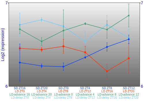 Expression graph