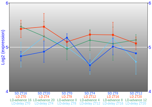 Expression graph