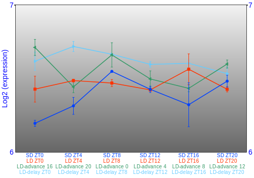 Expression graph