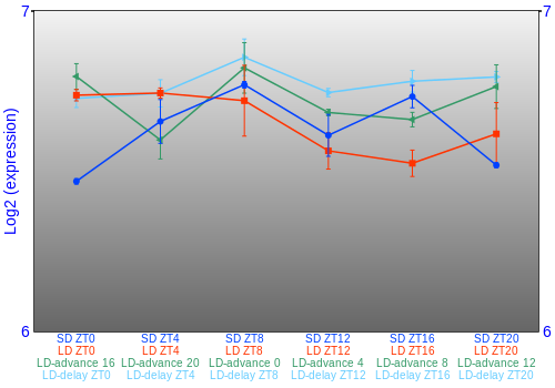 Expression graph