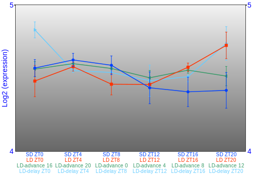 Expression graph