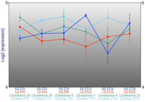 Expression graph