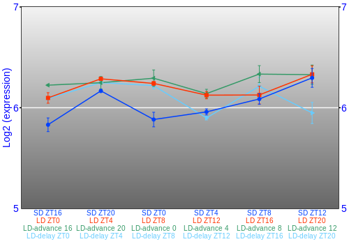 Expression graph