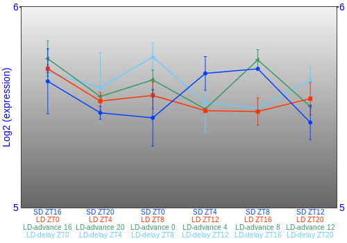 Expression graph