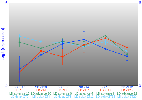 Expression graph