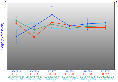 Expression graph