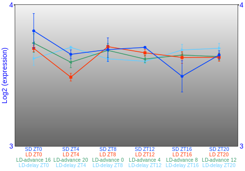 Expression graph