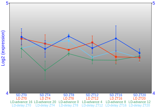 Expression graph