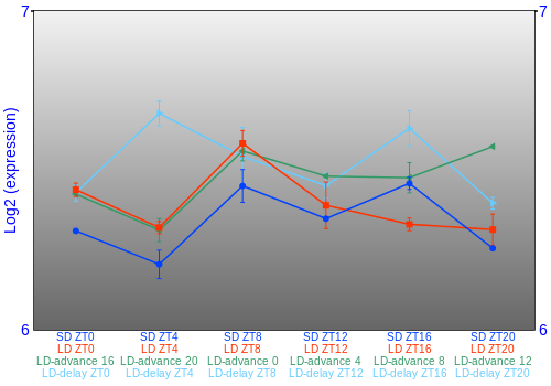 Expression graph