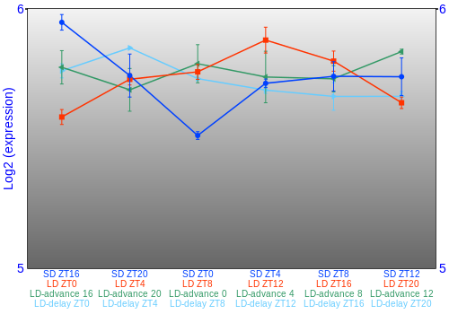 Expression graph
