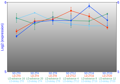 Expression graph