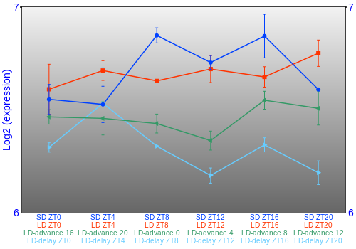 Expression graph