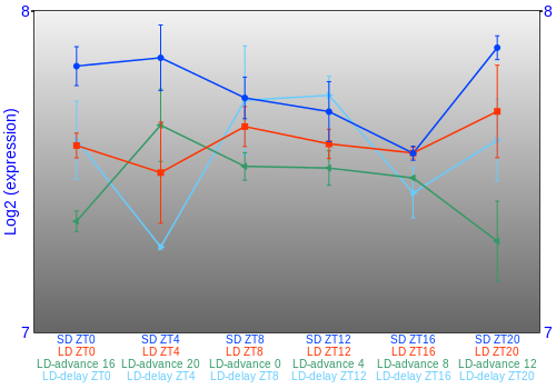 Expression graph