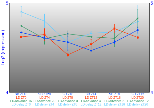 Expression graph