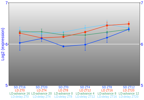 Expression graph