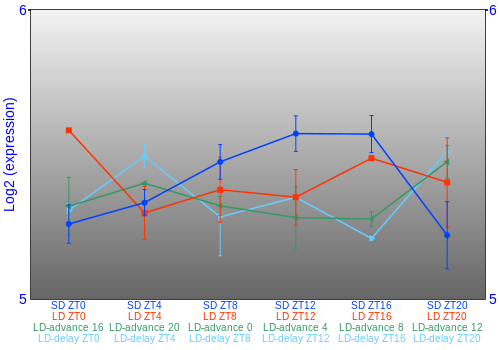 Expression graph
