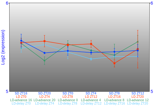 Expression graph