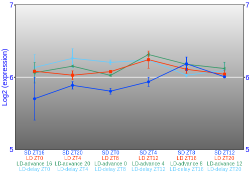 Expression graph