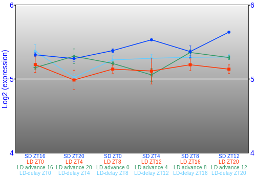 Expression graph