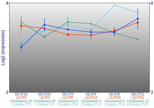 Expression graph