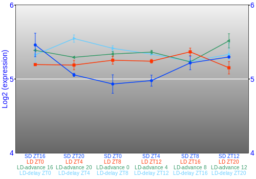 Expression graph