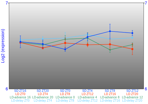 Expression graph