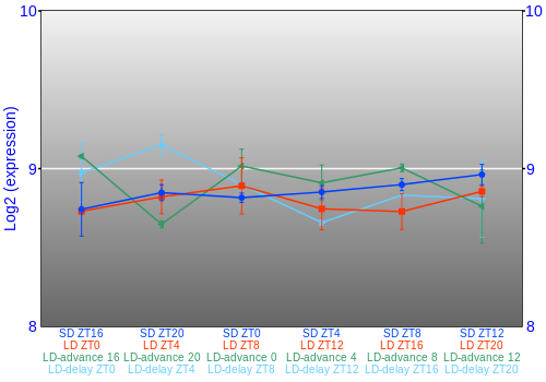 Expression graph