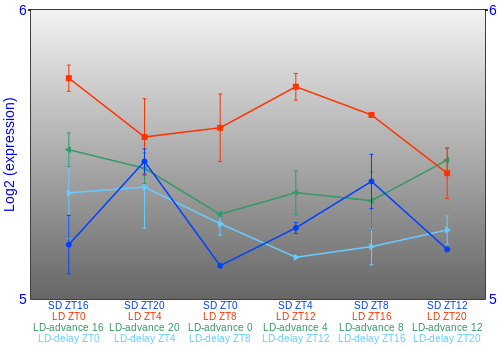 Expression graph