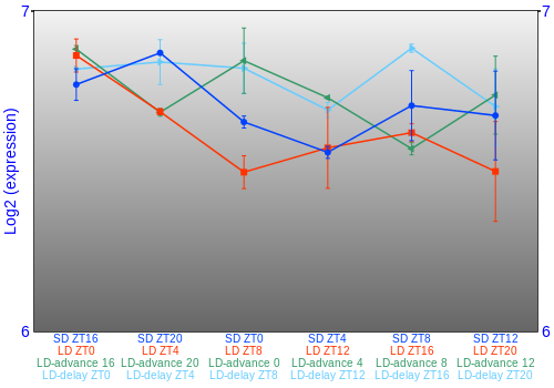 Expression graph