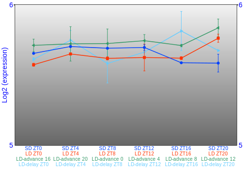 Expression graph