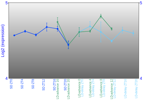 Expression graph