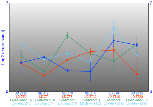 Expression graph