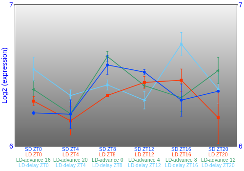 Expression graph