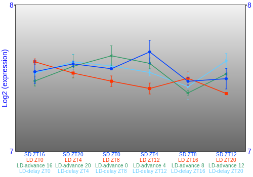 Expression graph