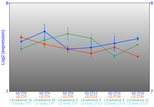 Expression graph