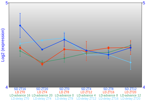 Expression graph