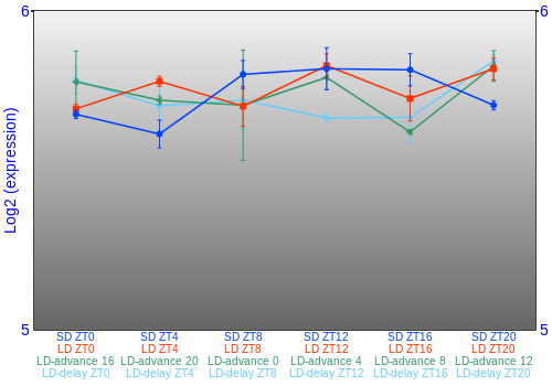 Expression graph
