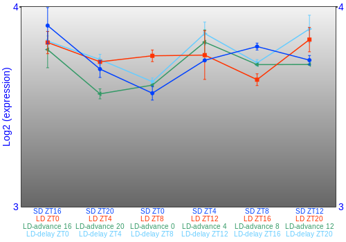 Expression graph