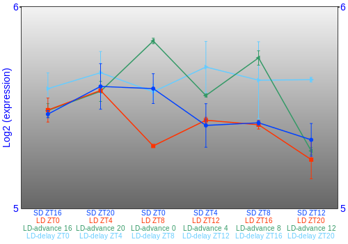 Expression graph